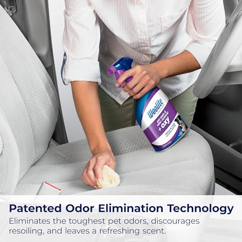 Woolite Pet Stain And Odor Remover Oxy Reviews