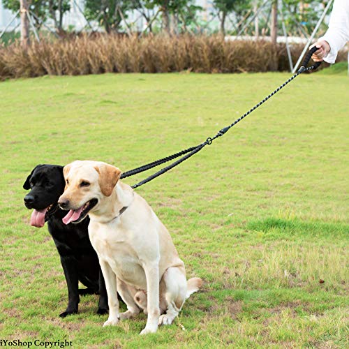 Top 5 Best Two Dog Leash No Tangle
