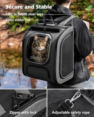 Pecute Cat Backpack Carrier XL Review