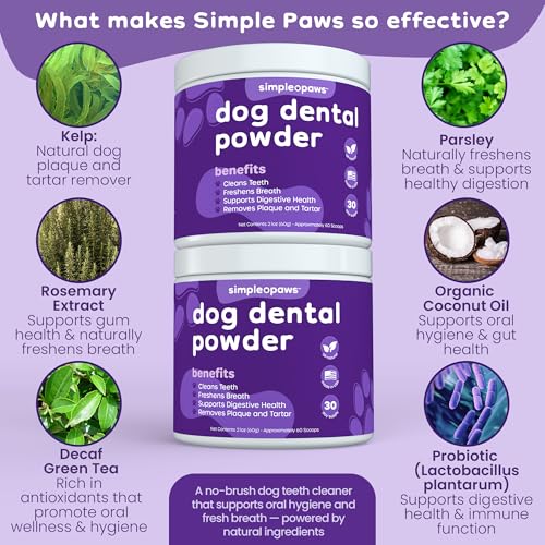 Dog Dental Powder For Teeth Cleaning Reviews