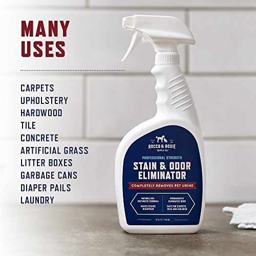 Best Dog Urine Odor Remover For Carpet