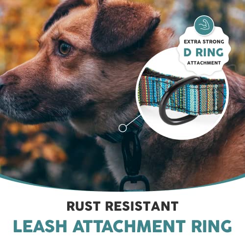 Embark Adventure Large Dog Collar Review