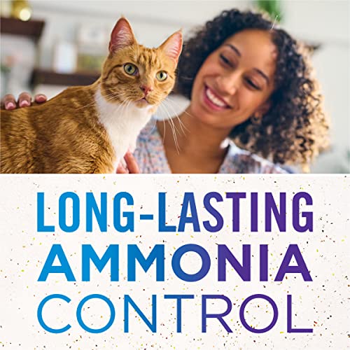 Felight Antibacterial Non Clumping Cat Litter
