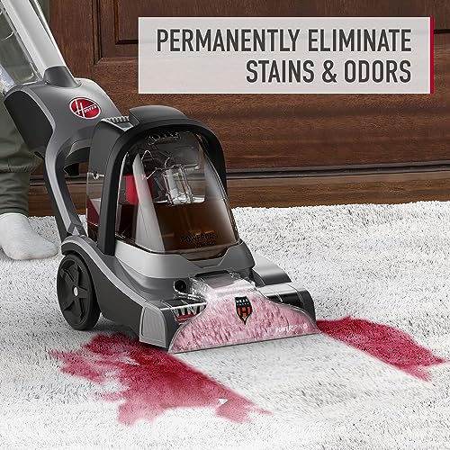 Hoover Pet Stain And Odor Remover Reviews