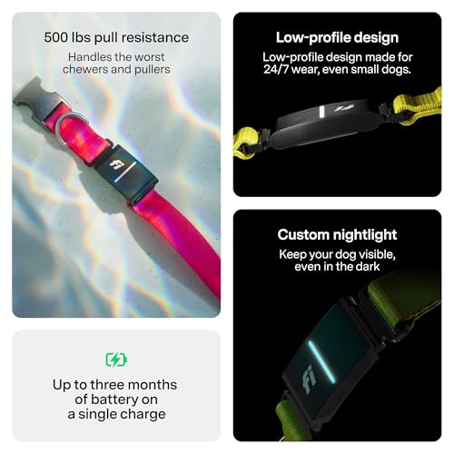 Health Monitoring Collar For Dogs Reviews