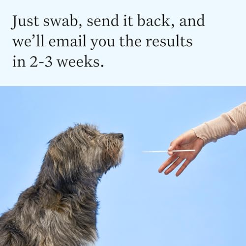 Most Accurate Dog DNA Testing Kit