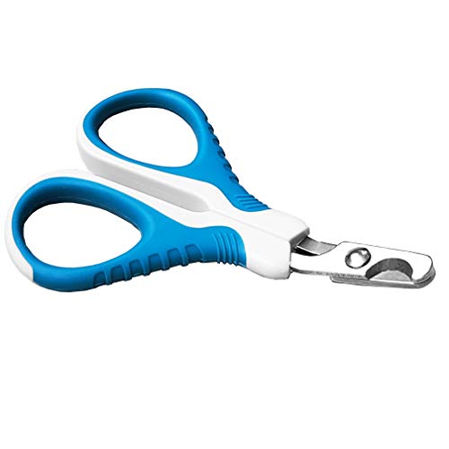 Best Dog Nail Clippers For Small Dogs