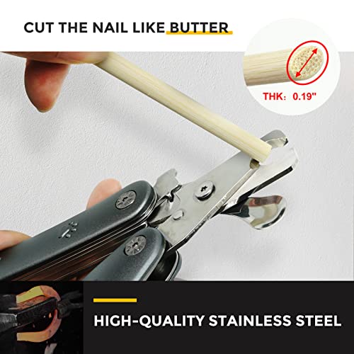 Best Canine Nail Clippers For Large Dogs