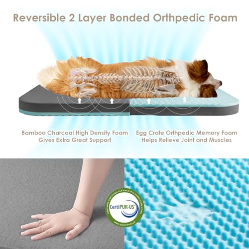 Giant Dog Bed For Humans Costco Reviews