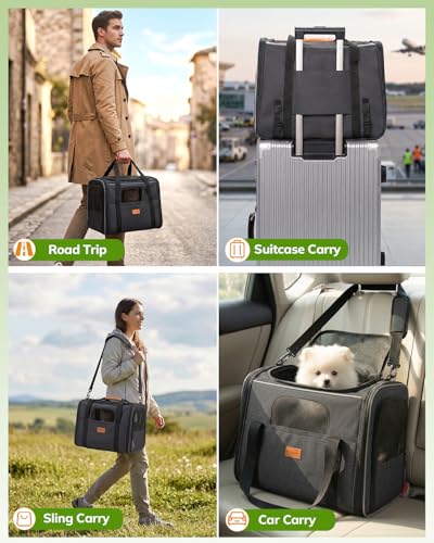 Morpilot Cat Carrier Review