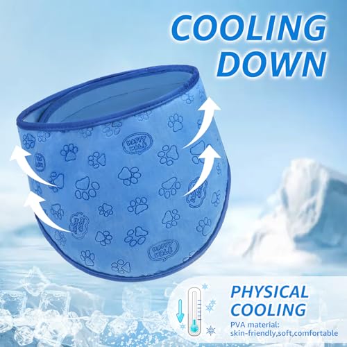 Dog Cooling Bandana Home Bargains