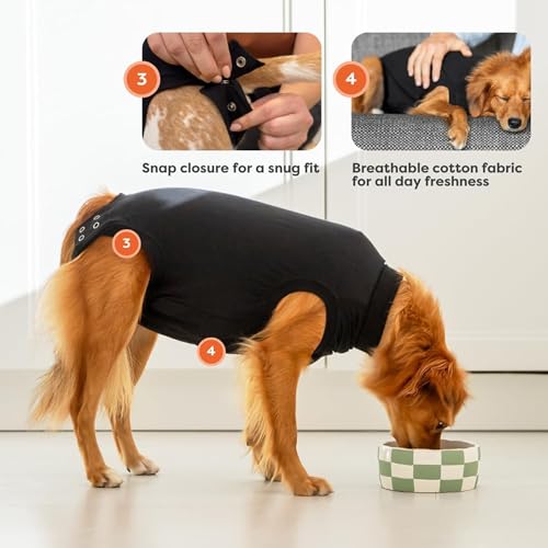 Best Dog Surgery Recovery Suit With Legs Reviews
