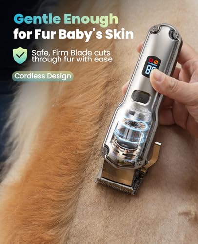 Best Professional Pet Hair Clippers For Dogs