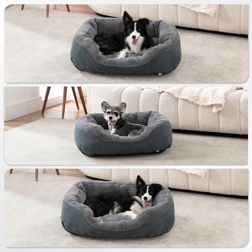 Top 5 Best Small Dog Bed For Small Dogs