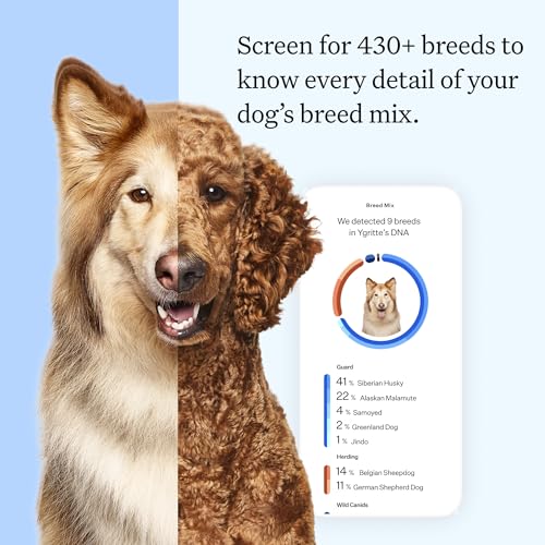 Best Dog DNA Test For Mixed Breeds