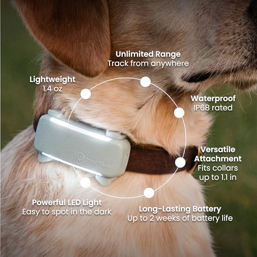 Top 5 Best Tractive Dog Tracker Review