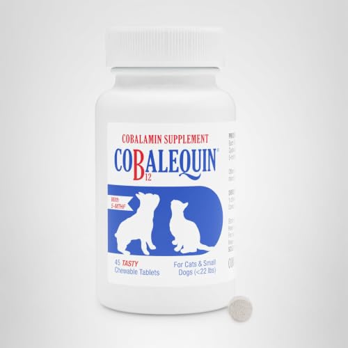 Top 5 Best Quality Vitamin B 12 For Cats
