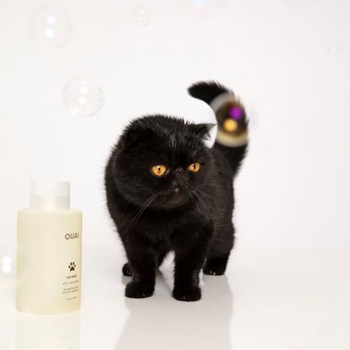 Ouai Dog Shampoo Review