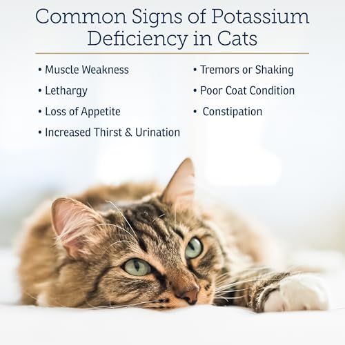Vitamin B 12 Supplement For Cats Reviews