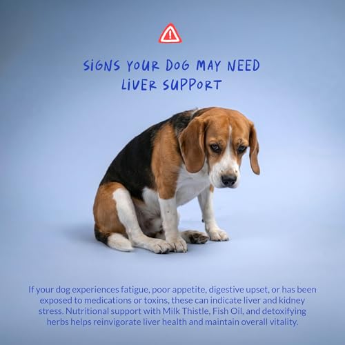 Best Supplements For Dogs With High Liver Enzymes