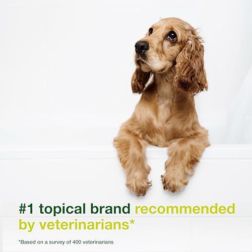 Anti Seborrheic Dermatitis Shampoo For Dogs Reviews