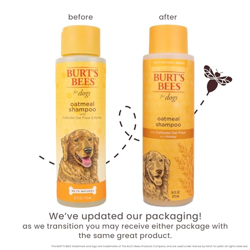 Burts Bees Dog Shampoo Review