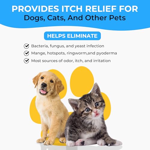 Best Waterless Dog Shampoo For Itchy Skin