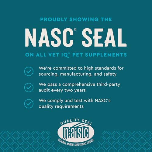 Vet Recommended Supplements For Dogs With Arthritis