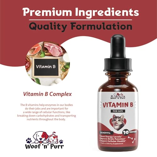 Top 5 Best Vitamin B Complex For Cats