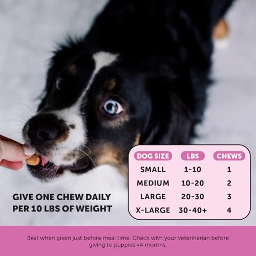 Best Pet Vitamins And Supplements For Puppies