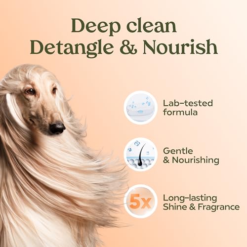 Best Moisturising Dog Shampoo And Conditioner
