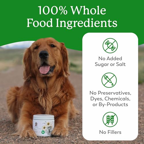 Best Organic Dog Vitamins And Minerals Reviews
