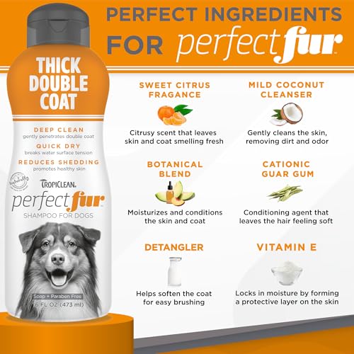 Best Deshedding Shampoo For Long Haired Dogs