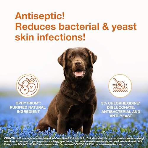 Antibacterial & Antifungal Dog Shampoo Yeast Infection