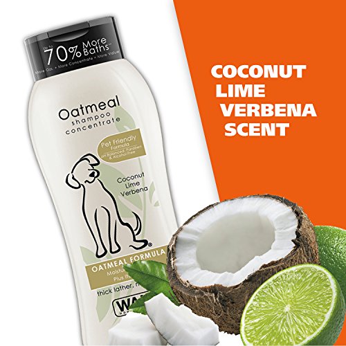 Malaseb Shampoo For Dogs Reviews