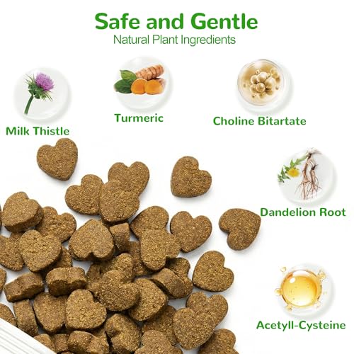 Top 5 Best Liver Detox Supplement For Dogs