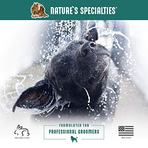 Best Colloidal Oatmeal Shampoo For Dogs