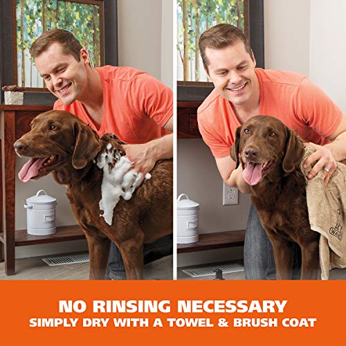 Waterless Dog Shampoo Reviews