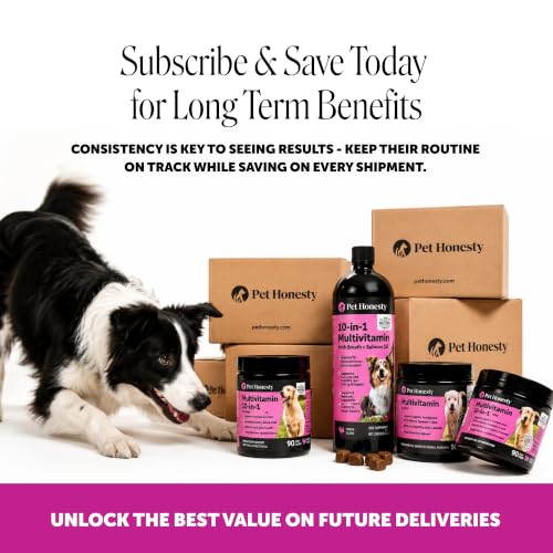 Top 5 Best Preventative Pet Supplements For Dogs