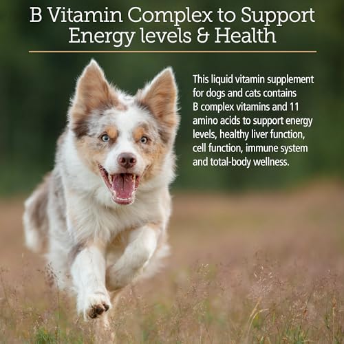 B Vitamin Complex Plus Iron For Cats Reviews