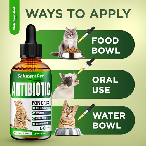 Top 5 Best Preventative Pet Supplements For Cats