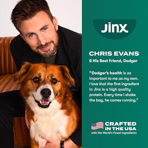Best Dog Food Without Fillers Or Preservatives