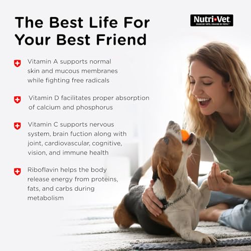 Top 5 Best Dog Multivitamin Recommended By Vets
