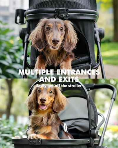Paws And Pals Pet Stroller Reviews