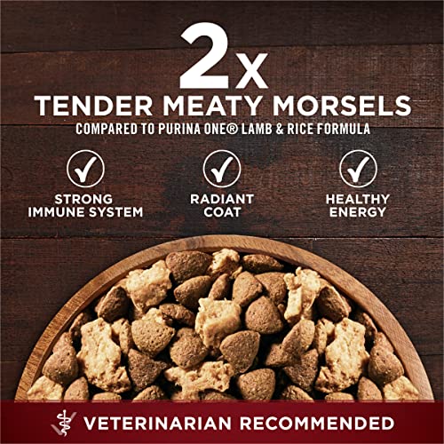 Best Dry Dog Food With Vitamins And Minerals