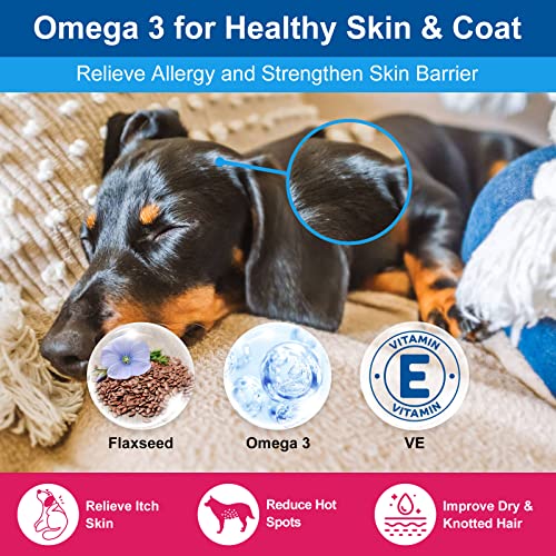 Best Homemade Dog Food Supplement Powder