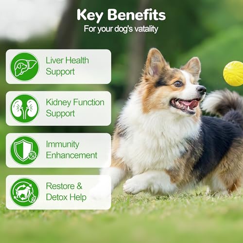 Top 5 Best Liver Support Supplements For Dogs