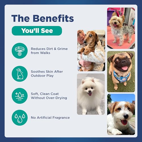 Dog Mite Shampoo Reviews