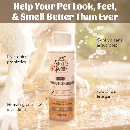 Best Anti Itch Dog Shampoo And Conditioner