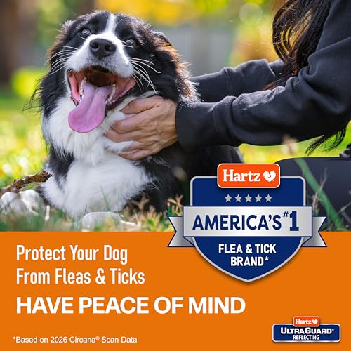 Hartz Dog Shampoo Review
